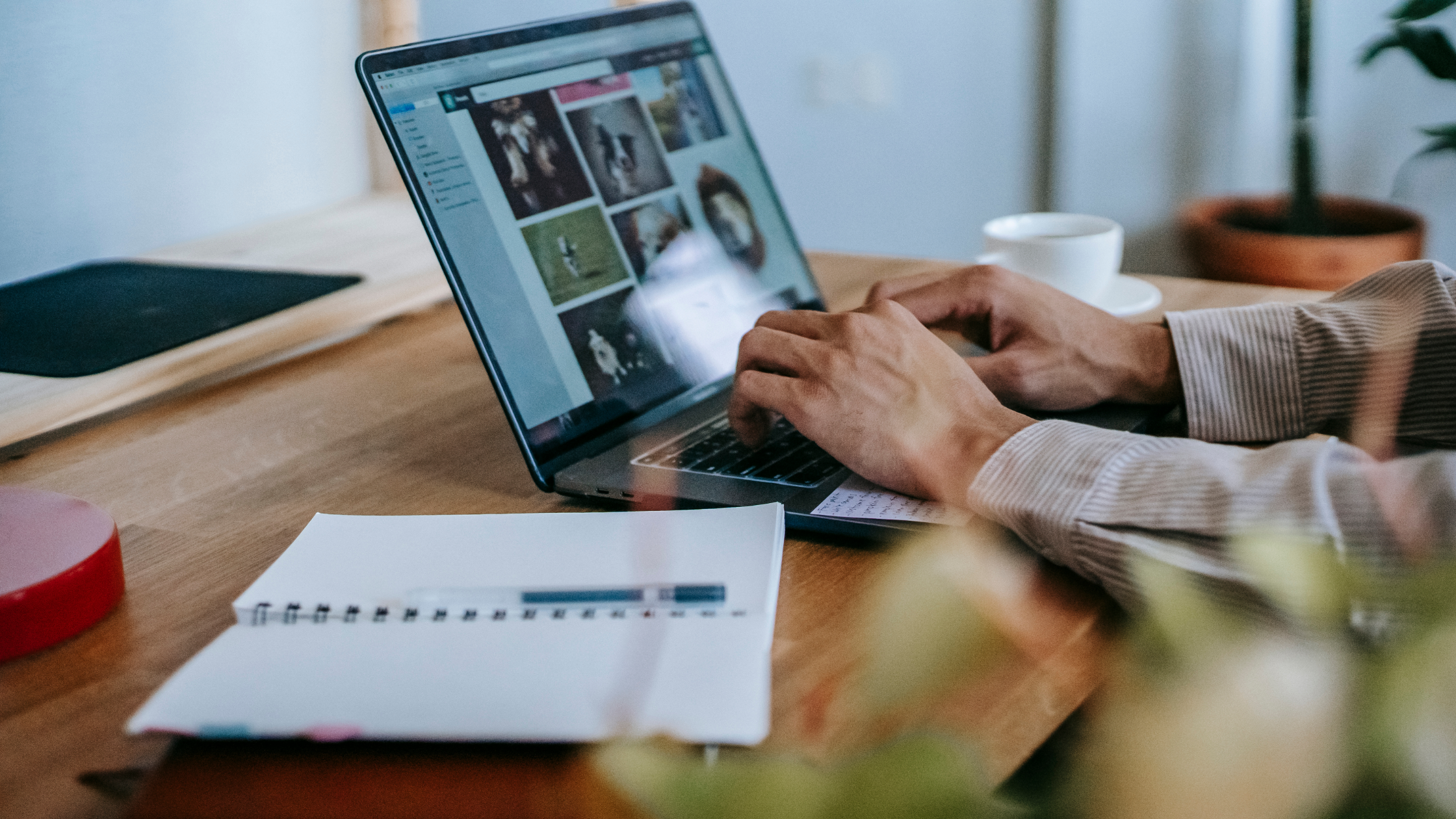 Working as a freelancer with a working visa｜For visa applications in Tokyo  and Osaka, choose the administrative scrivener law firm Yanagi KAJI Group.